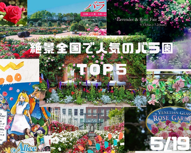 絶景　全国で人気のバラ園ＴＯＰ５