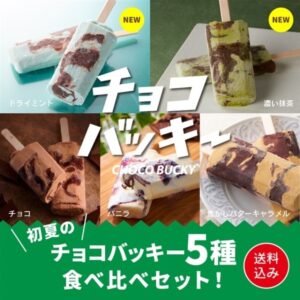 チョコバッキー食べ比べセット 5種36本 送料込み　ドライアイス付き