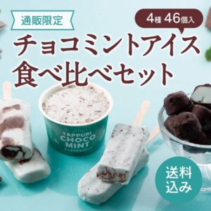 チョコミントアイス食べ比べセット（送料込み）ドライアイス付き