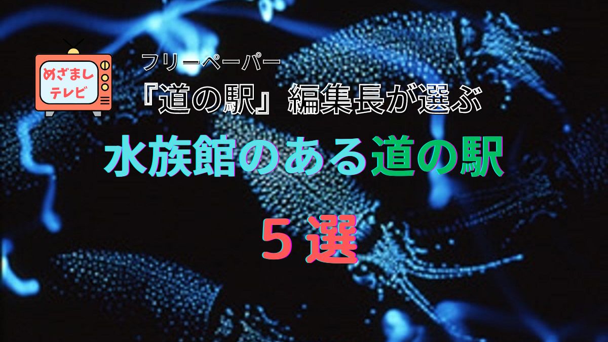 水族館のある道の駅 ５選