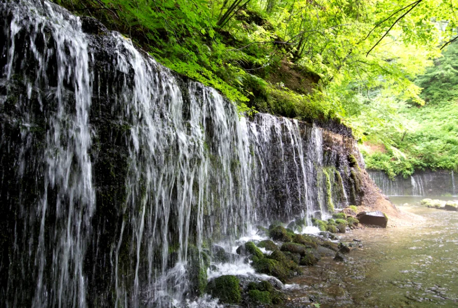 白糸の滝