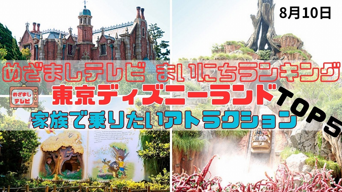 東京ディズニーランド 家族で乗りたいアトラクションＴＯＰ５