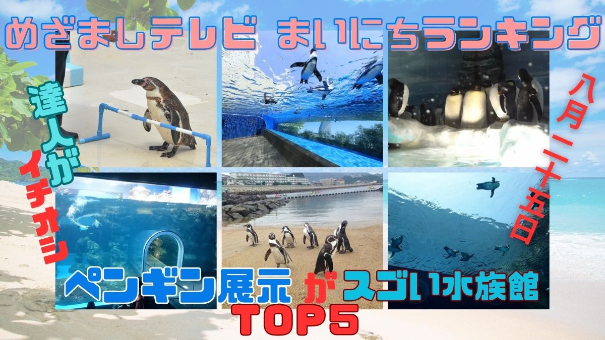 達人イチオシ ペンギン展示がスゴい水族館ＴＯＰ５