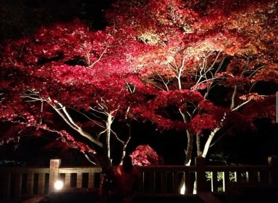 大山阿夫利神社下社