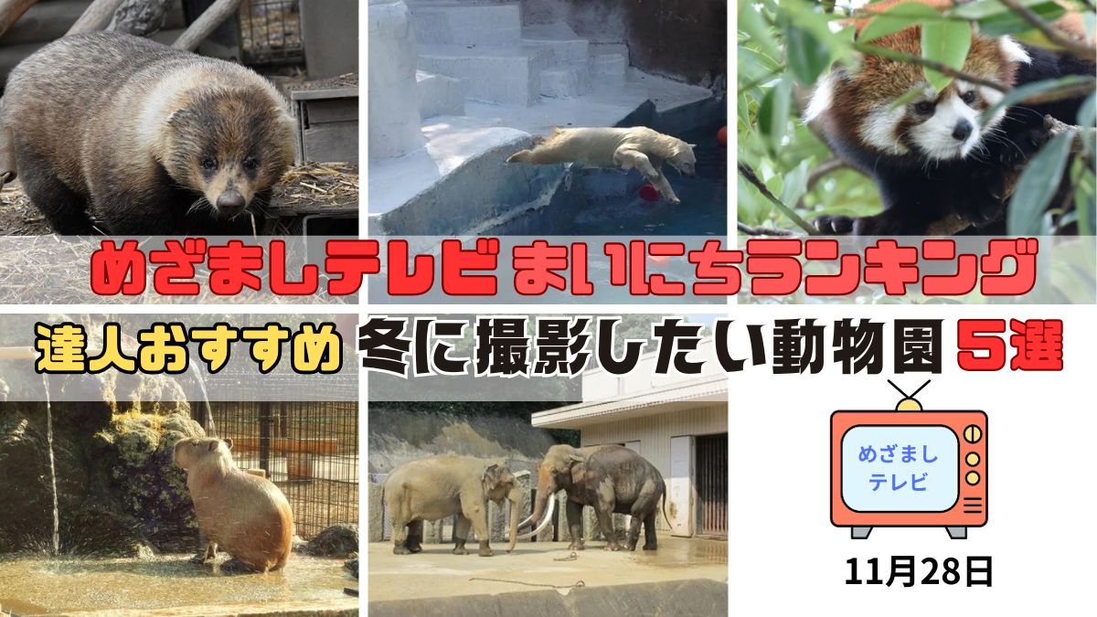 冬に撮影したい動物園５選