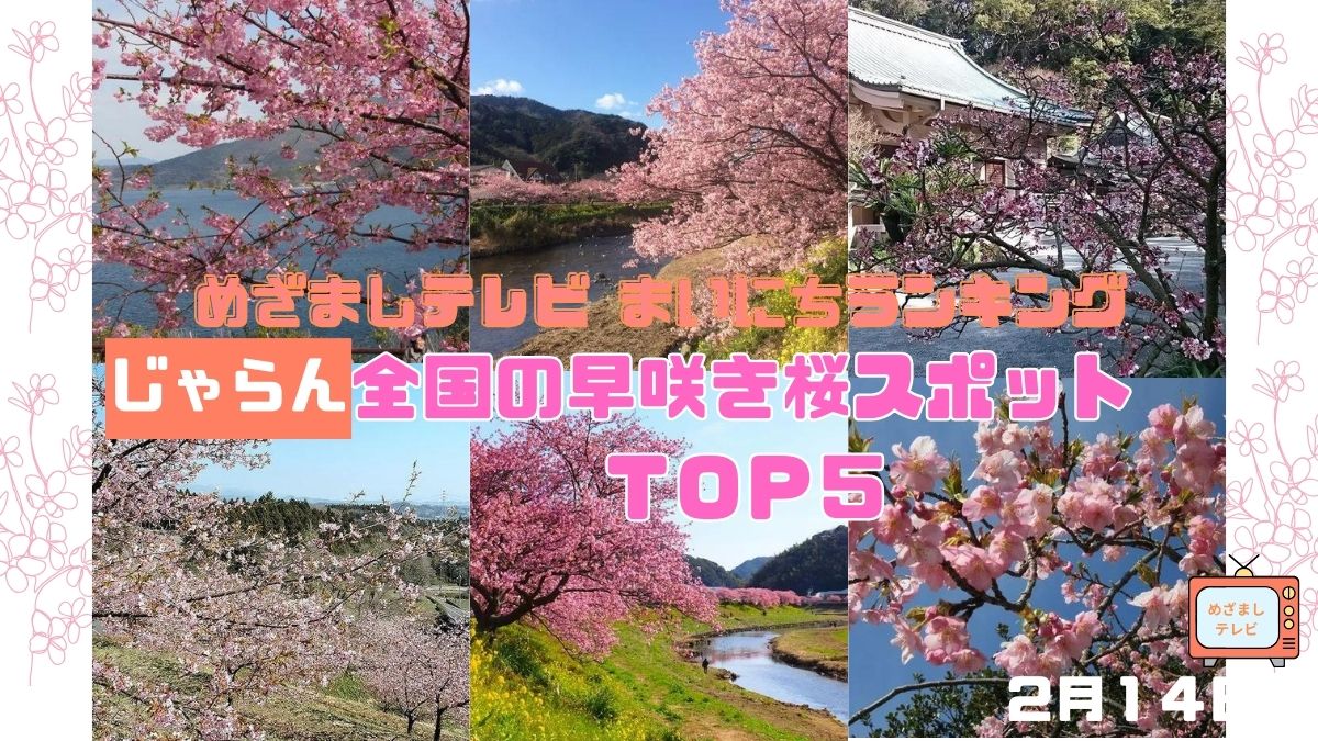 めざましテレビまいにちランキング『じゃらん 全国の早咲き桜スポットTOP５