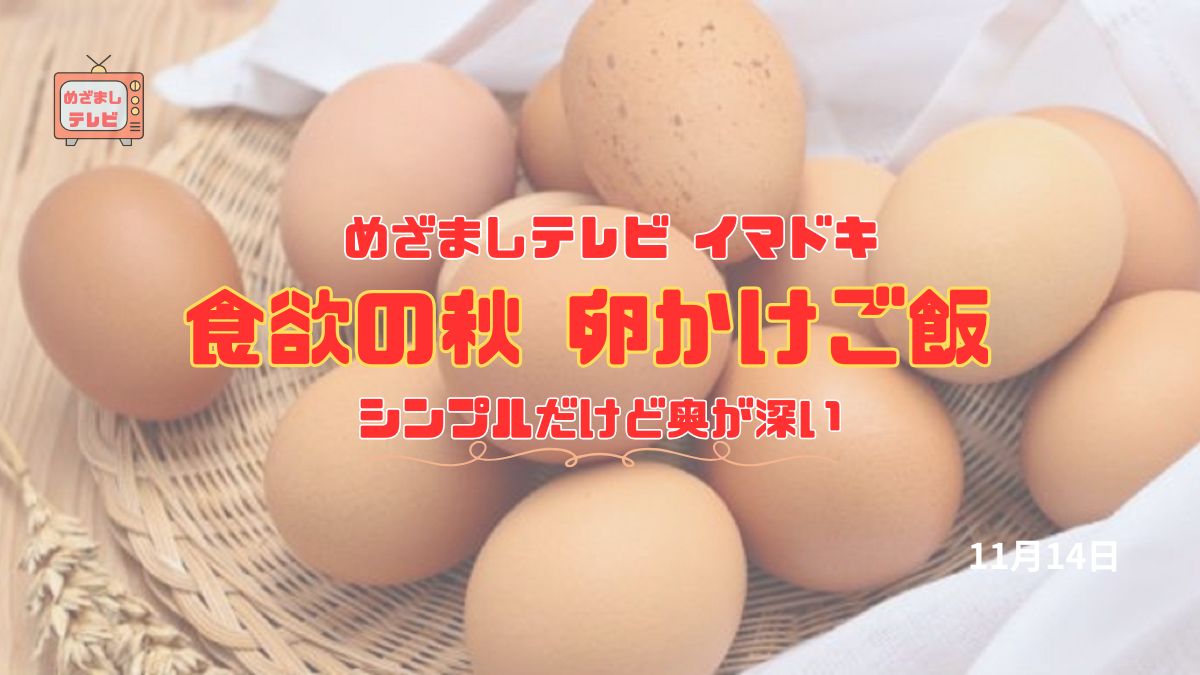 めざましテレビ 美味『食欲の秋 卵かけご飯』シンプルだけど奥が深い 今日のイマドキ｜11月14日