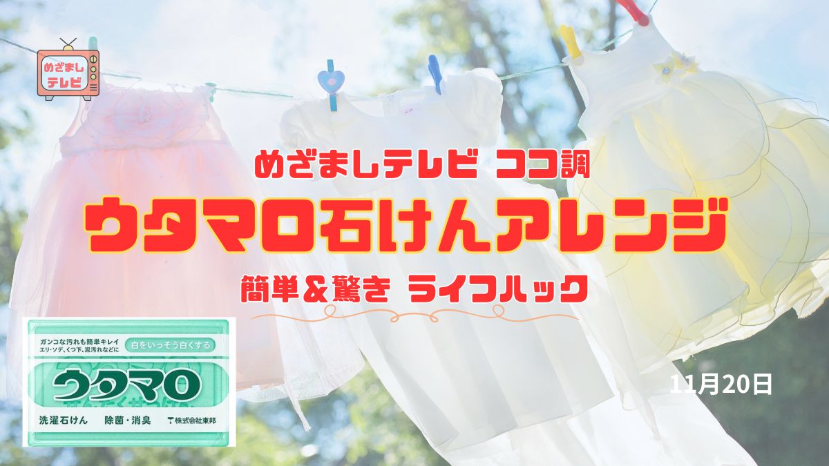 めざましテレビ ココ調『簡単＆驚き ウタマロ石けんアレンジ』ライフハックで年末大掃除に知っててお得な一工夫