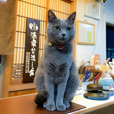 野沢温泉 桐谷旅館　あずきちゃん