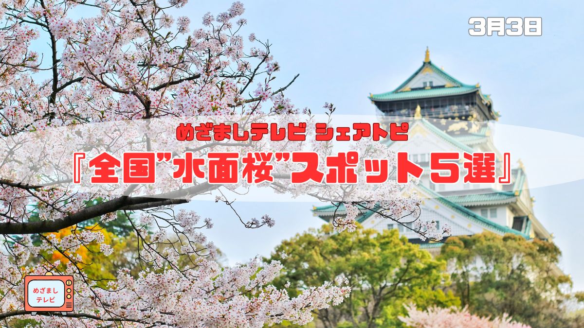 今日のめざましテレビまいにちランキング『全国"水面桜"スポット５選』幻想的な春を満喫！水辺に映る絶景桜スポット｜3月3日