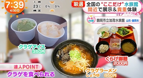 鶴岡市立加茂水族館 クラゲのグルメ