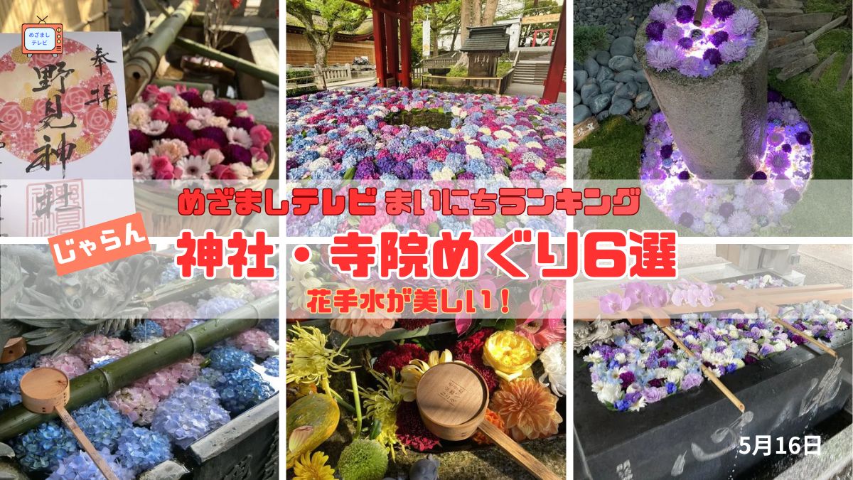 今日のめざましテレビまいにちランキング『花手水が美しい！神社・寺院めぐり6選』季節の花が彩る癒しの参拝体験｜5月16日