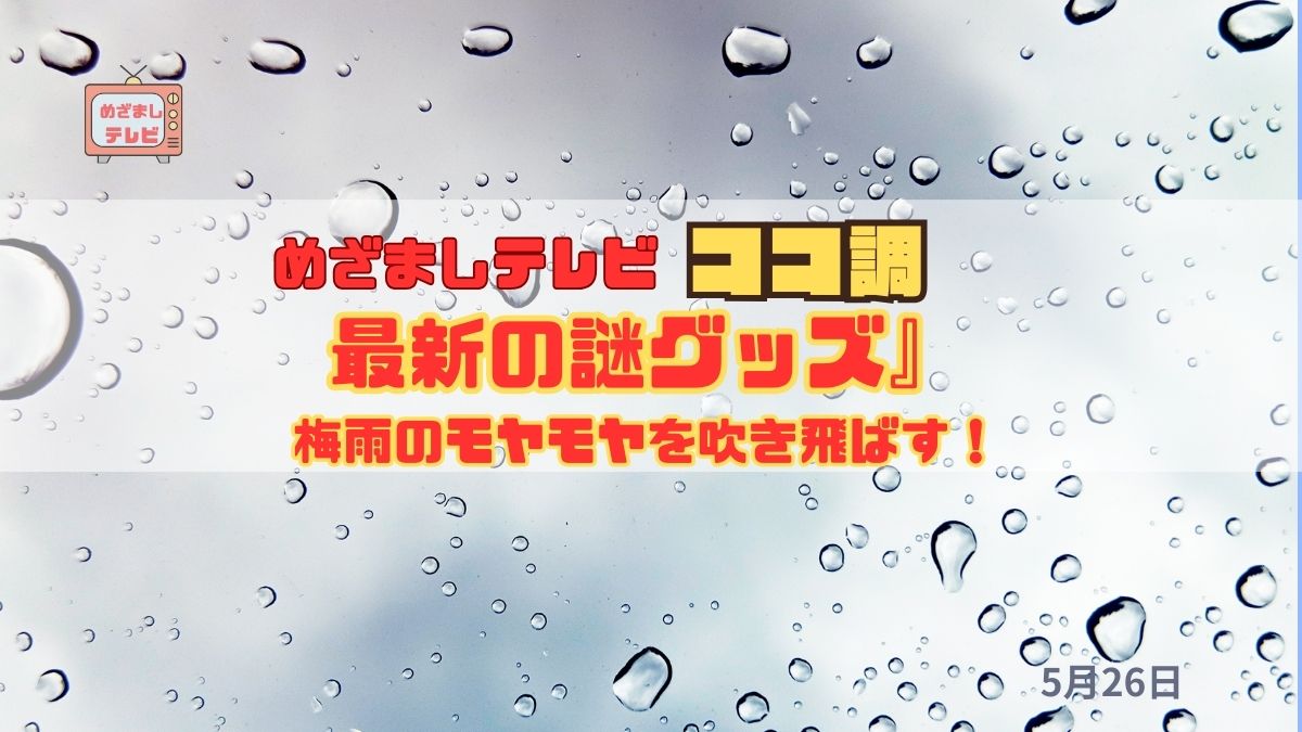 めざましテレビ ココ調 梅雨のモヤモヤを吹き飛ばす！『最新の謎グッズ』雨の日がちょっと好きになるかも？
