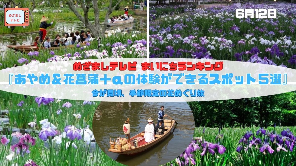 今日のめざましテレビまいにちランキング『あやめ＆花菖蒲＋αの体験ができるスポット５選』今が見頃、季節限定の花めぐり旅｜6月12日