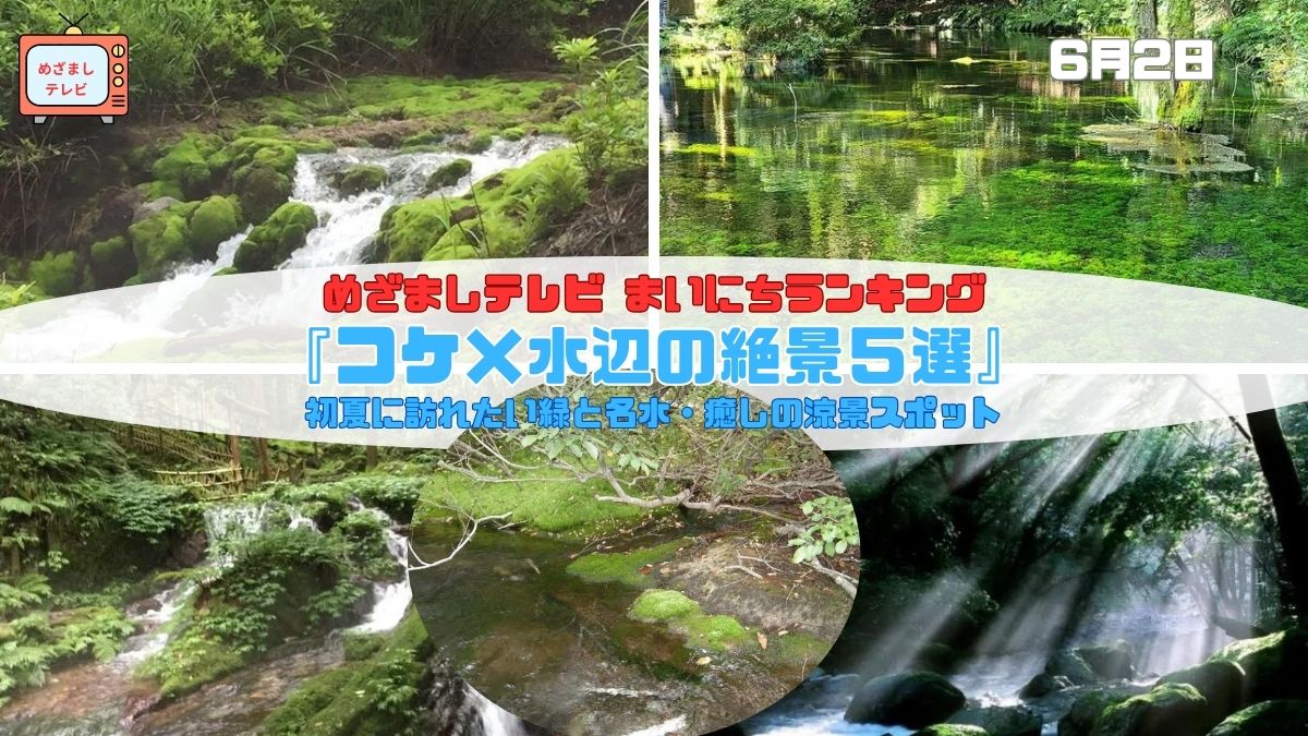 今日のめざましテレビまいにちランキング『コケ×水辺の絶景５選』初夏に訪れたい緑と名水・癒しの涼景スポット｜6月2日