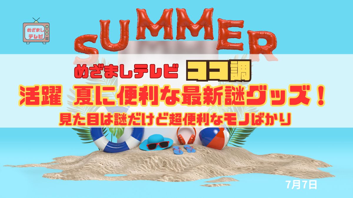 めざましテレビ ココ調【街の正解率2%!?】活躍 夏に便利な最新謎グッズ！見た目は謎だけど超便利な“夏グッズ”7選【ダイソー・スリコ・ニトリ・ネット限定】