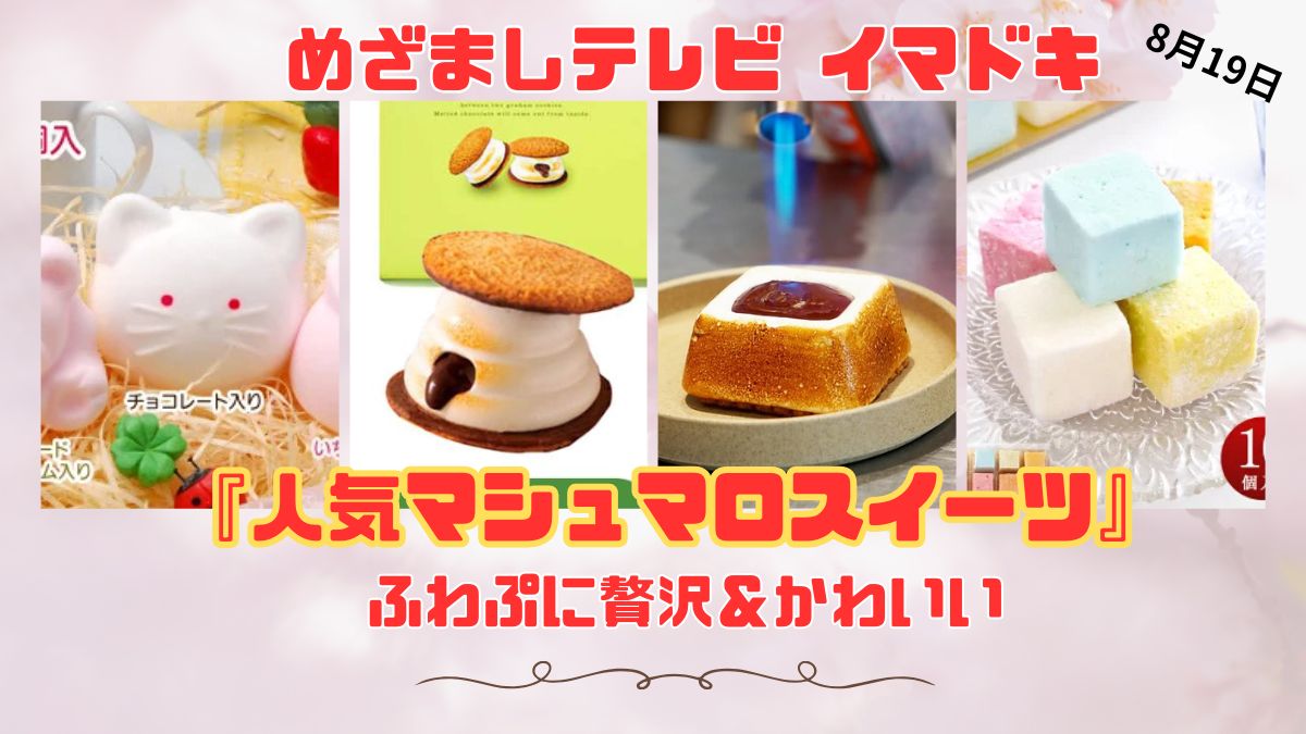 めざましテレビ ふわぷに贅沢＆かわいい『人気マシュマロスイーツ』今日のイマドキ｜8月19日