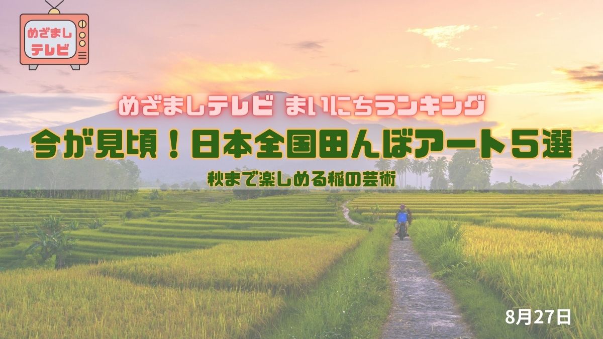 今日のめざましテレビまいにちランキング『今が見頃！日本全国田んぼアート５選』秋まで楽しめる稲の芸術｜8月27日