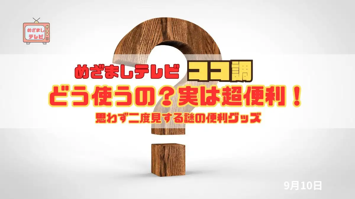 めざましテレビ ココ調「どう使うの？実は超便利！第100回ギフト・ショー発！思わず二度見する謎の便利グッズ」｜9月10日