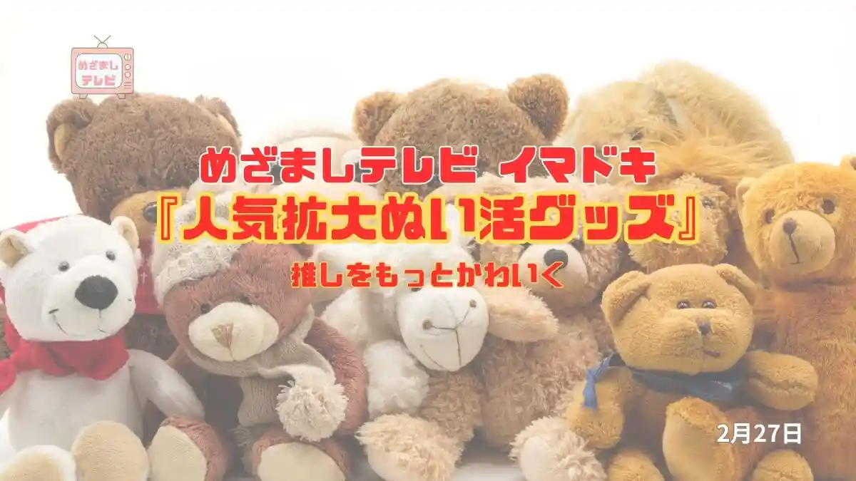 めざましテレビ 推しをもっとかわいく『人気拡大ぬい活グッズ』今日のイマドキ｜2月27日